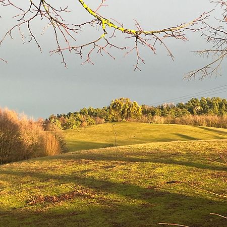 Appartamento Kleine Backsteinloft Templin Esterno foto