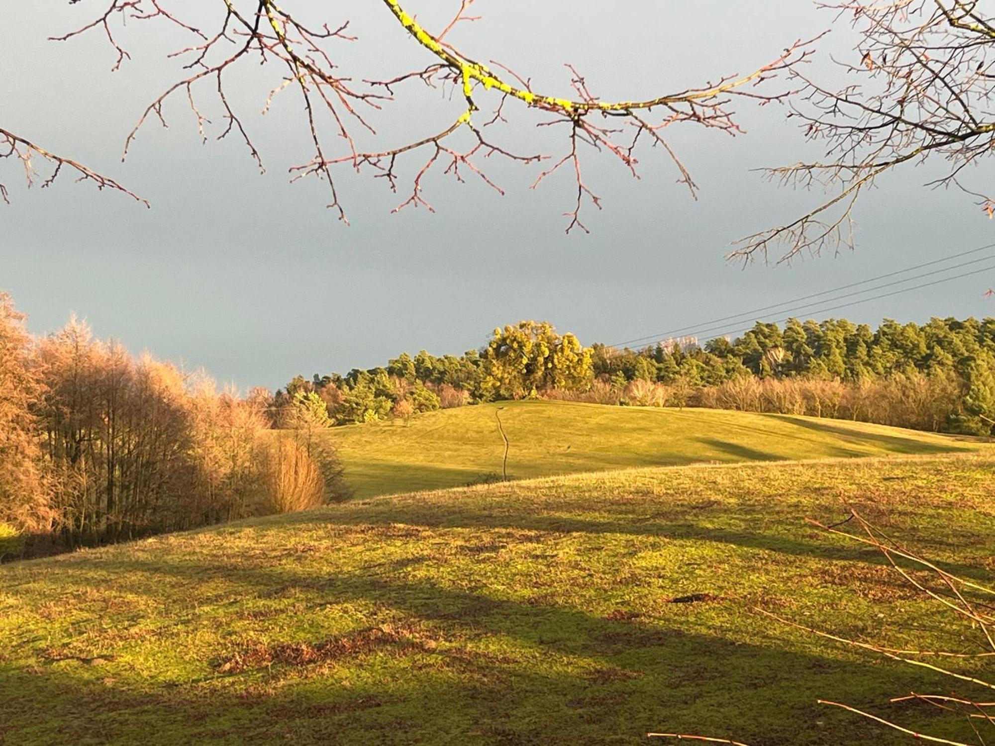 Appartamento Kleine Backsteinloft Templin Esterno foto